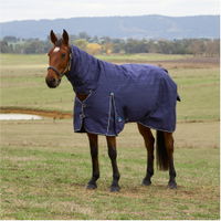 Comfitec Prelim Turnout Rug Combo 0G